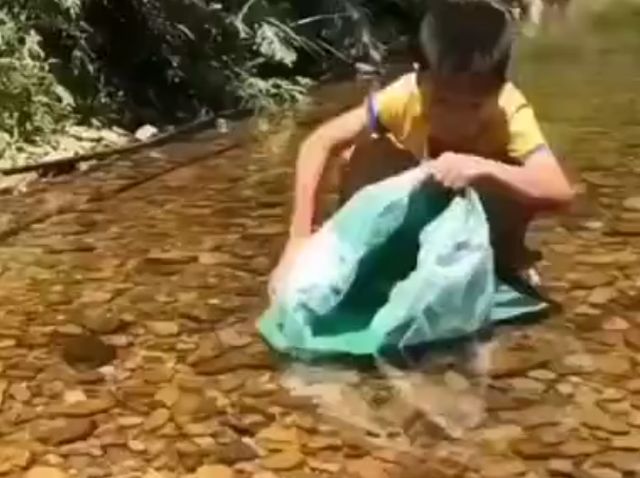 ребенок в реке
