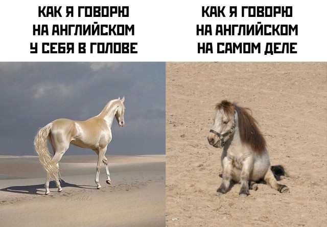 Смешные картинки вечер 7 мая 2021