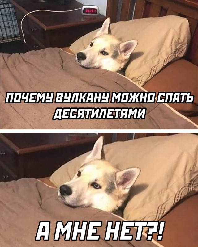 Смешные картинки вечер 7 мая 2021