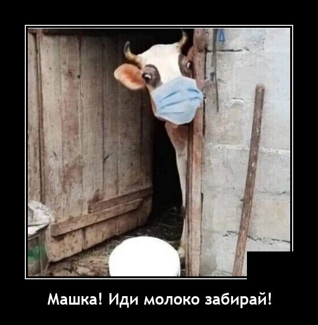 Демотиваторы 25 июня 2021