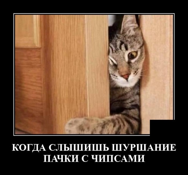 Демотиваторы 6 июля 2021