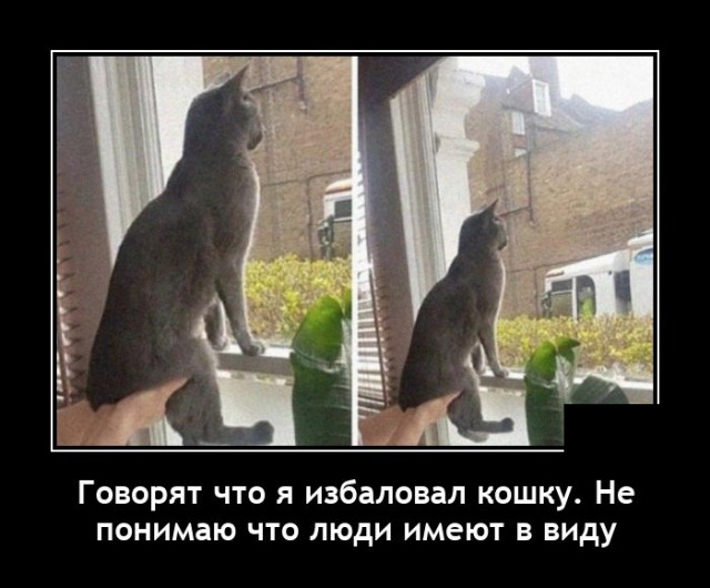 Демотиваторы 6 июля 2021