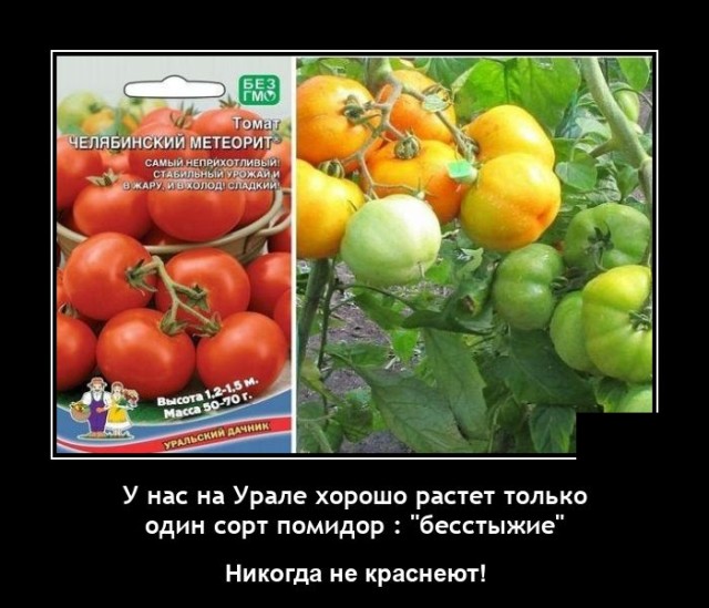 Демотиваторы 6 июля 2021