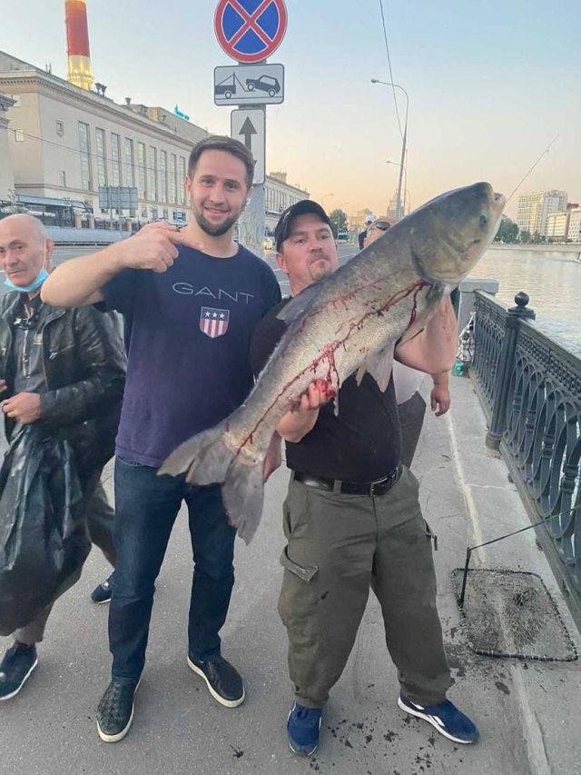В Москве парень выловил толстолобика на Бережковской набережной