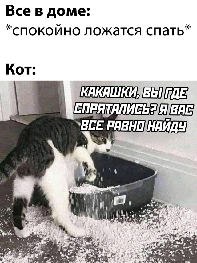 Смешные картинки 19 июля 2021