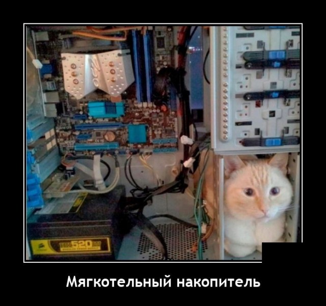 Демотиваторы 29 июля 2021