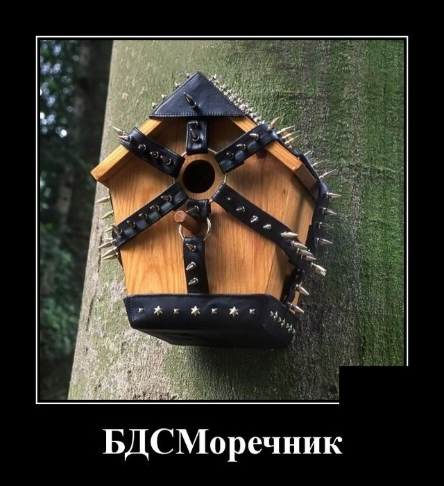 Демотиваторы 29 июля 2021