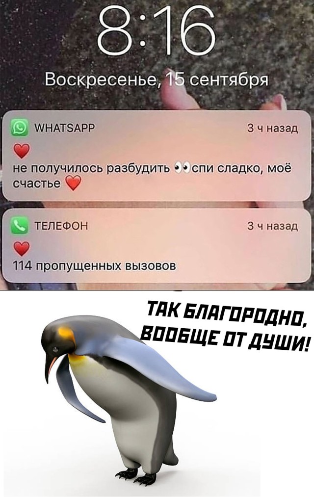Смешные картинки вечер 29 июля 2021