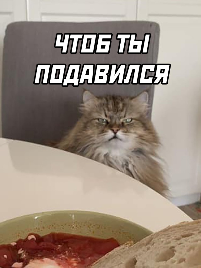 Смешные картинки вечер 29 июля 2021
