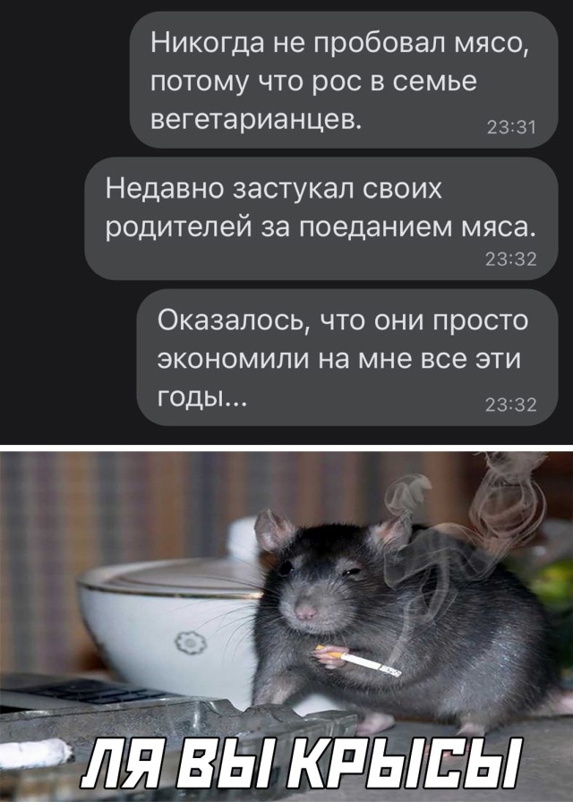 Смешные картинки вечер 29 июля 2021