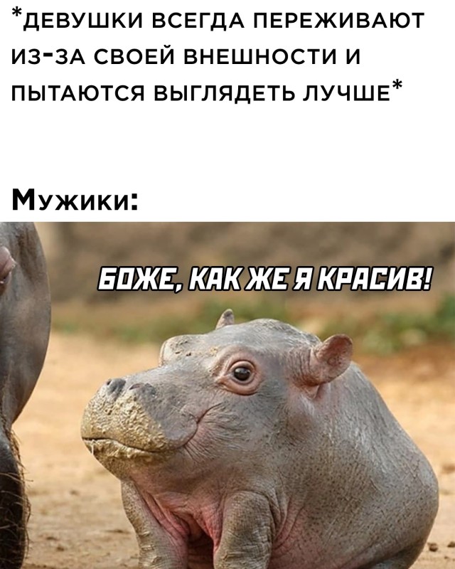 Смешные картинки вечер 29 июля 2021
