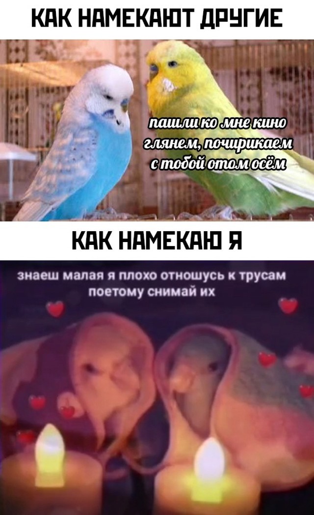 Смешные картинки вечерний выпуск 30 июля 2021