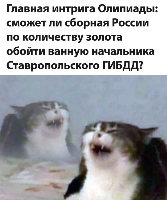 Смешные картинки 3 августа 2021 года