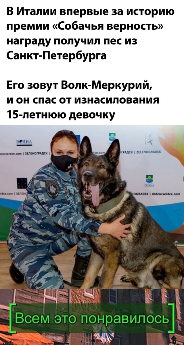 Смешные картинки 17 августа 2021 года