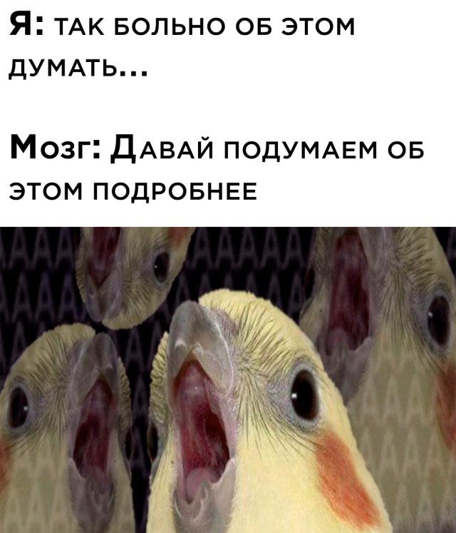 Смешные картинки 20 августа 2021 года