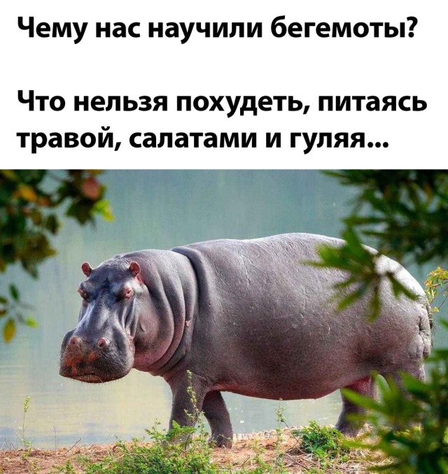 Смешные картинки 30 августа 2021 года