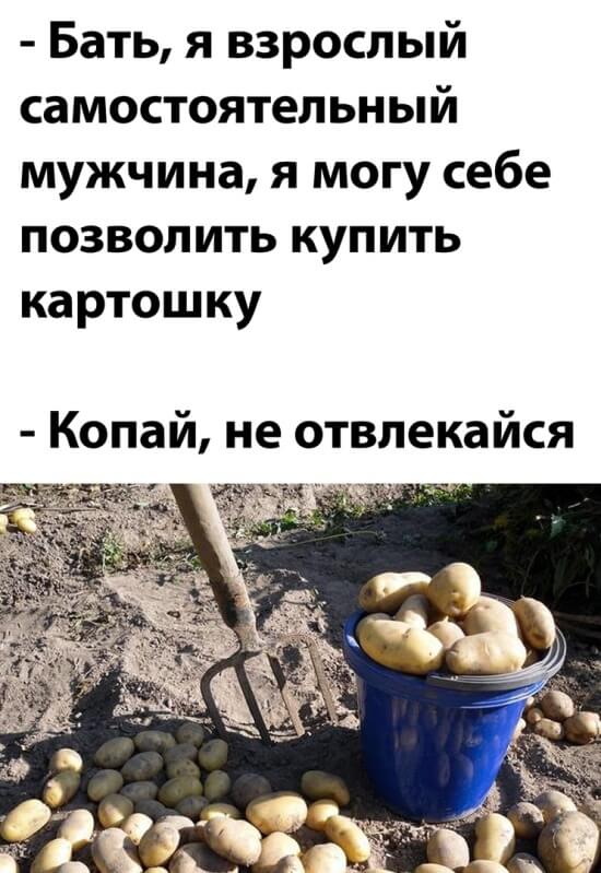 Смешные картинки 30 августа 2021 года