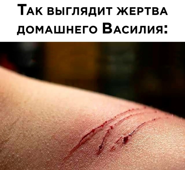 Смешные картинки вечер 24 сентября 2021 года