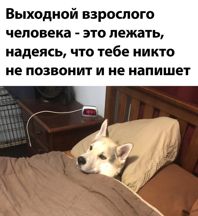 Смешные картинки 27 сентября 2021 года