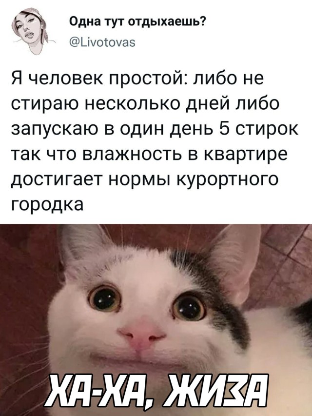 Смешные картинки 27 сентября 2021 года
