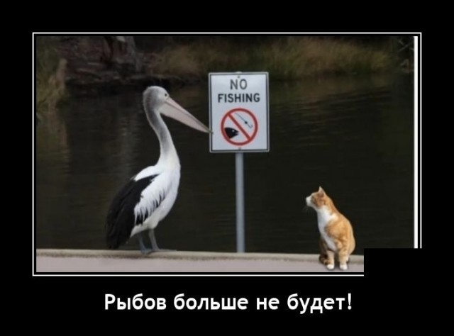 Демотиваторы 29 сентября 2021 года