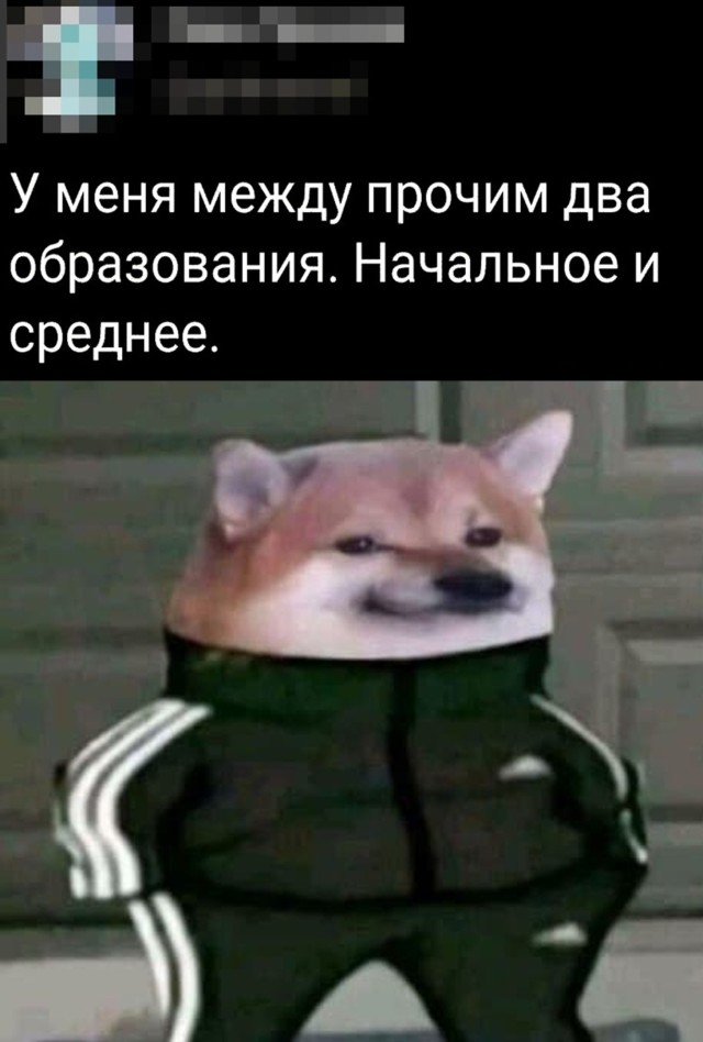 Смешные картинки 4 октября 2021 года