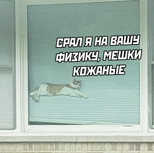 Смешные картинки 27 октября 2021 года