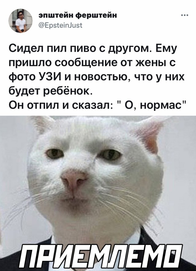 Смешные картинки 28 октября 2021 года