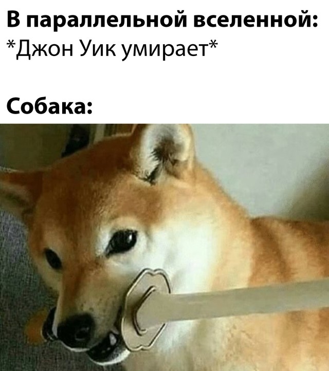 Смешные картинки 28 октября 2021 года