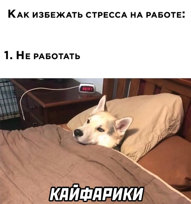 Смешные картинки 28 октября 2021 года