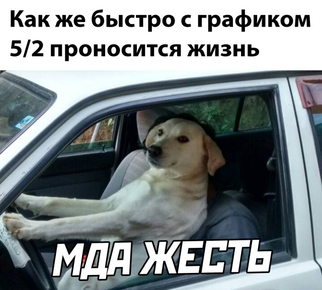 Смешные картинки 28 октября 2021 года