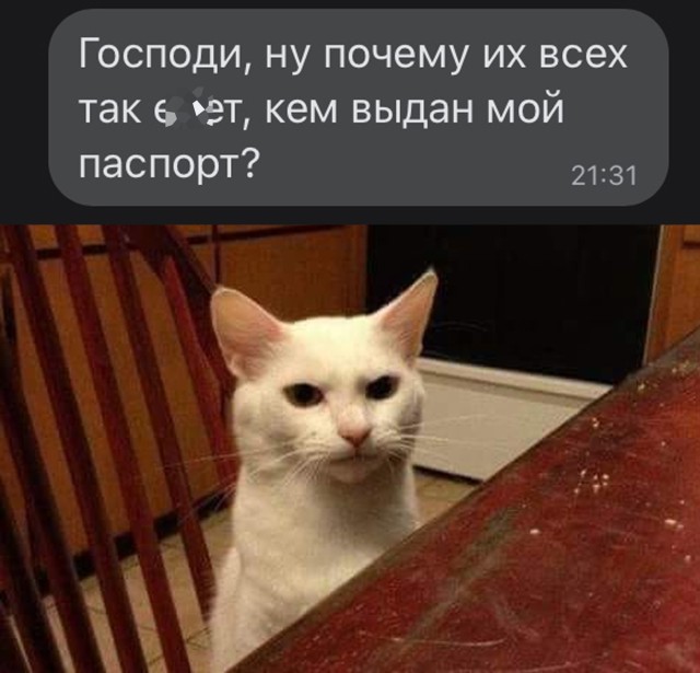 Смешные картинки 1 ноября 2021 года