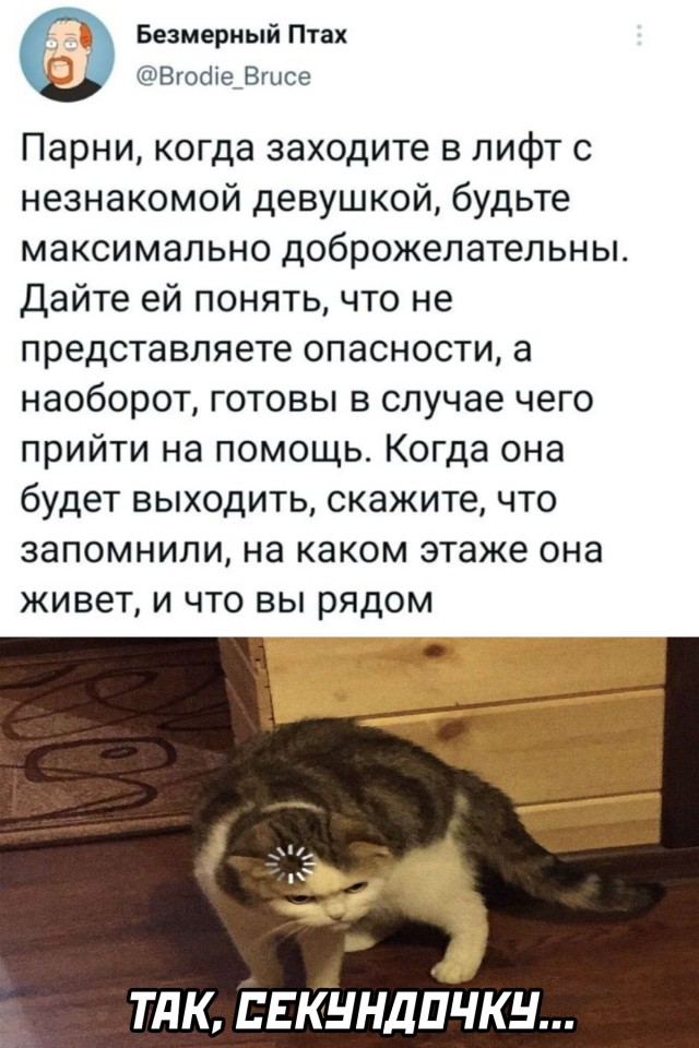 Смешные картинки 1 ноября 2021 года