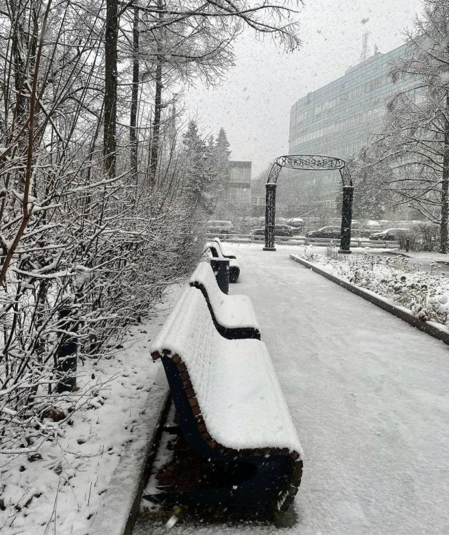 снегопад в Москве