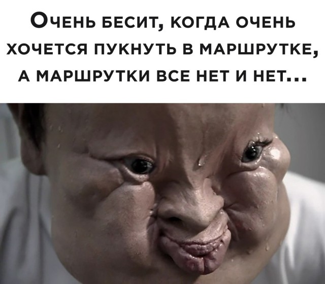 Смешные картинки 12 ноября 2021 года