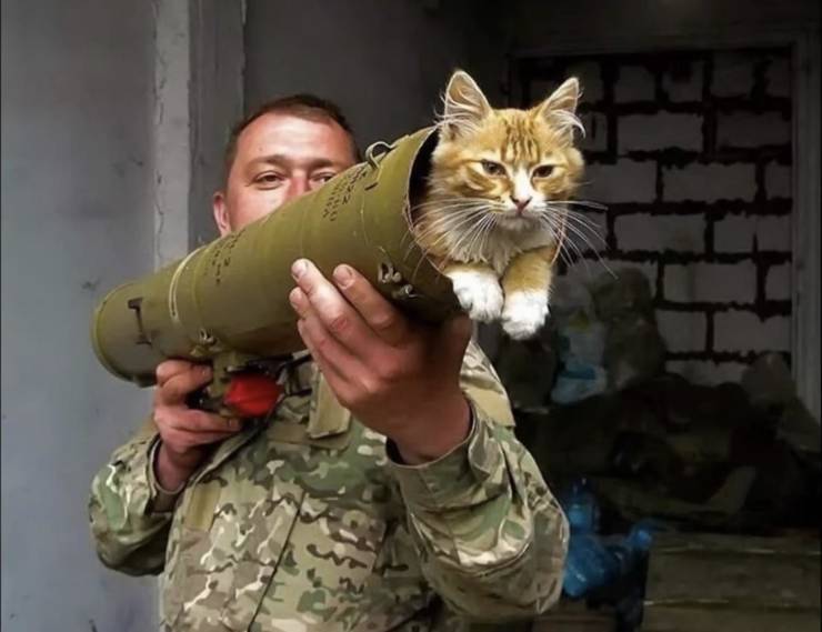Смешные картинки 12 ноября 2021 года