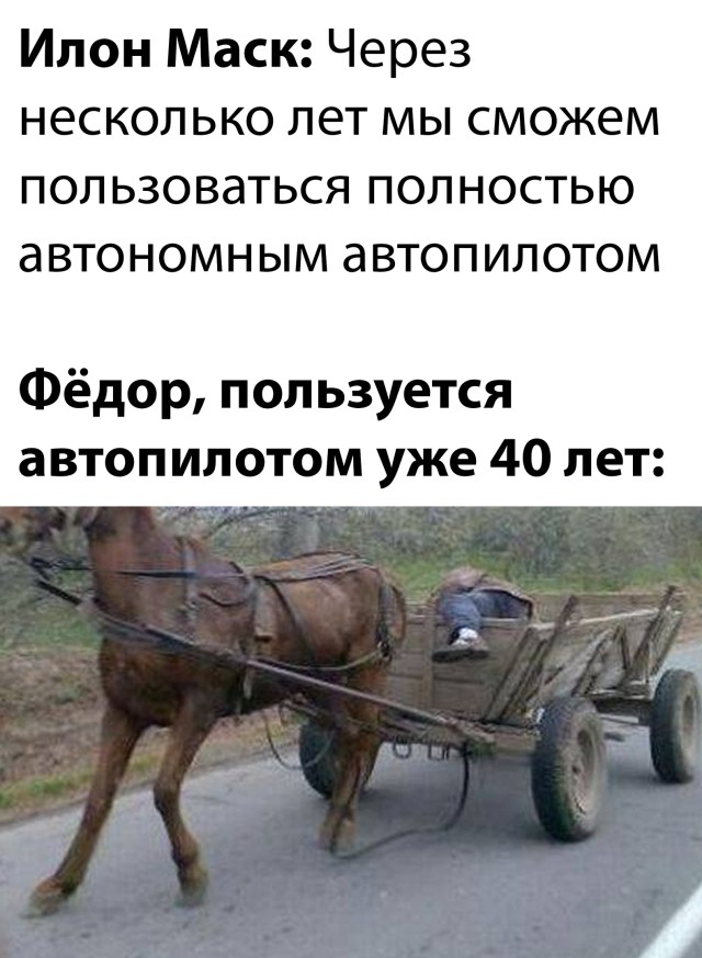 Смешные картинки 15 ноября 2021 года