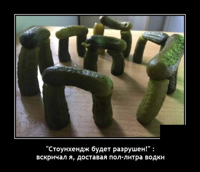 Демотиваторы 16 ноября 2021 года