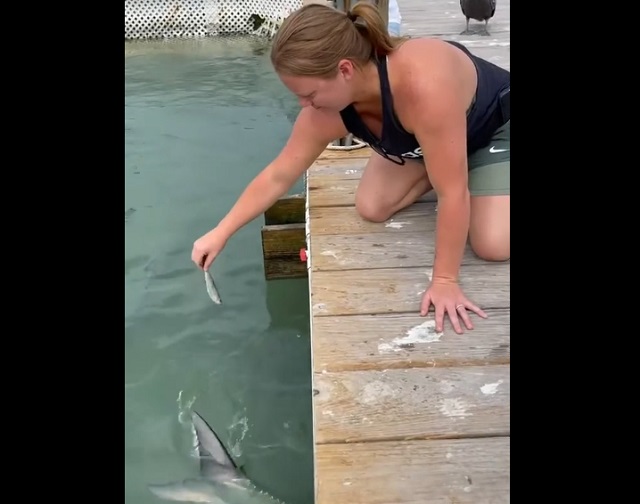 девушка кормит рыб