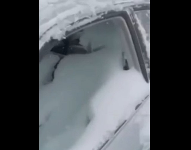 Житель Сахалина забыл закрыть окно в своём авто