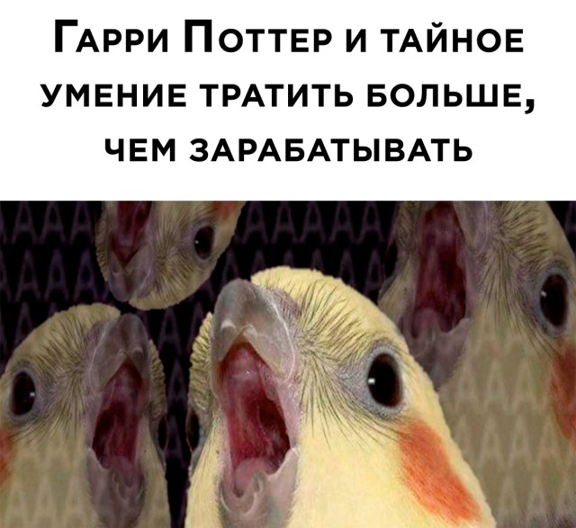 Смешные картинки 13 января 2022 года