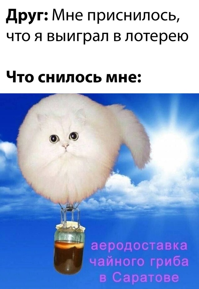 Смешные картинки 19 января 2022 года