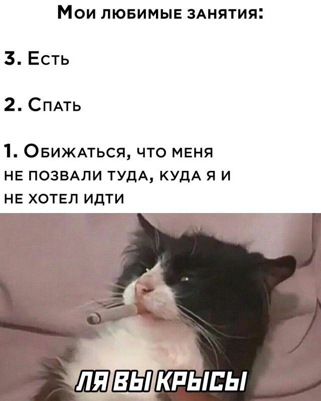 Смешные картинки 19 января 2022 года