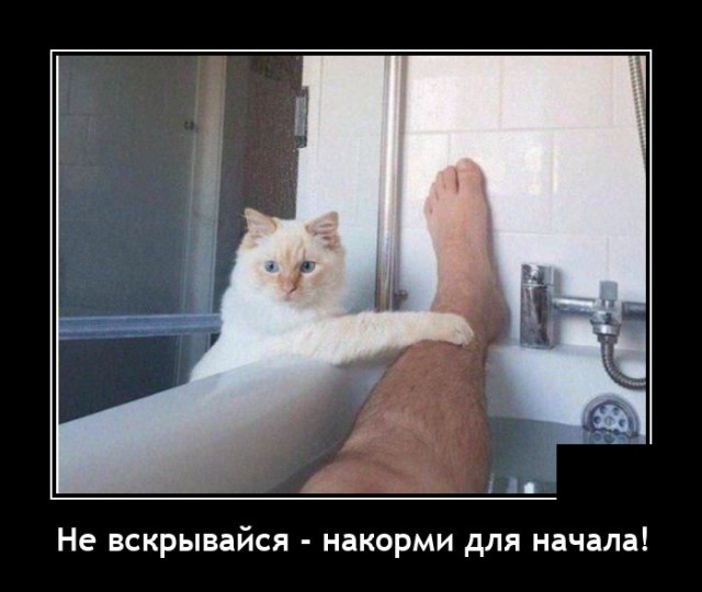 Демотиваторы 21 января 2022 года