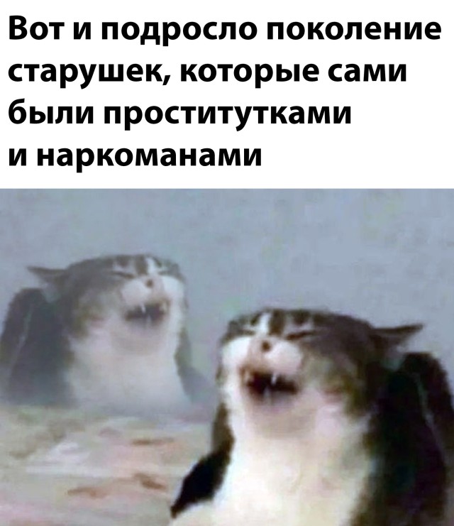 Смешные картинки 21 января 2022 года