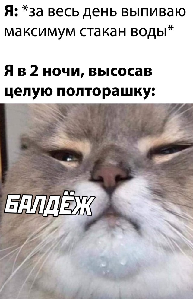 Смешные картинки 21 января 2022 года