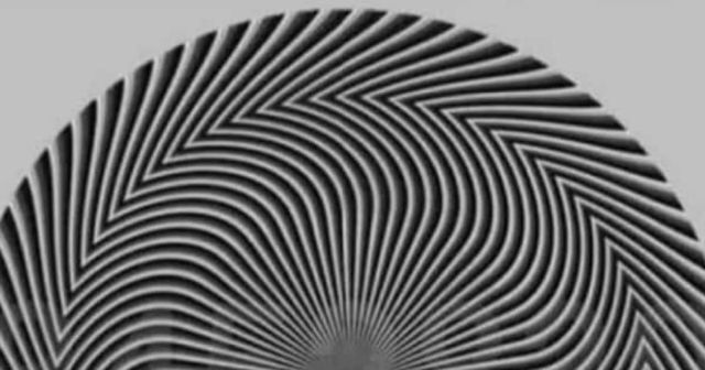 "Какое число вы видите?": пользователь Твиттера сломал голову подписчикам оптической иллюзией