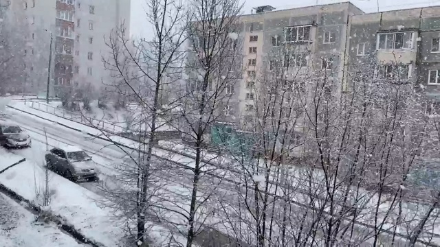 снег в Амурской области