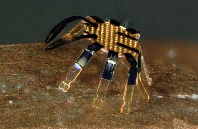 Ученые из США создали самого маленького робота в мире