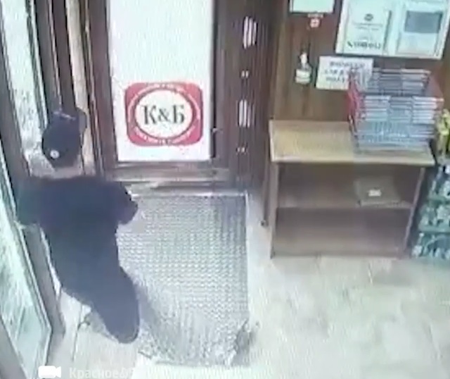 В Волгограде парень пробил себе выход из магазина при помощи шампанского